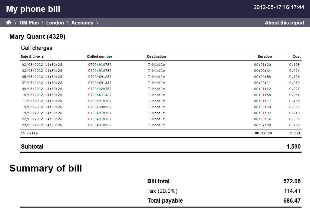 phone-bill-tim-plus-documentation